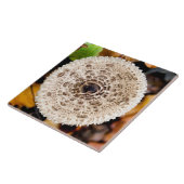 キノコ タイル (側面)