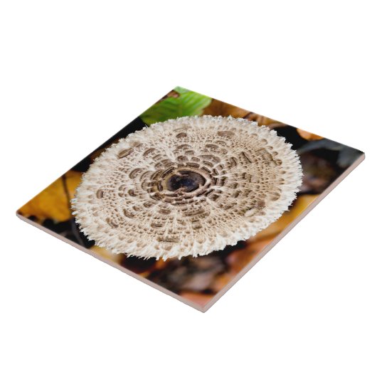 キノコ タイル (側面)