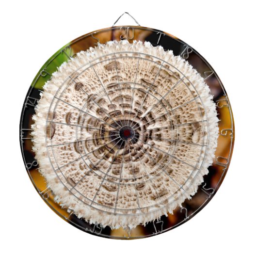 キノコ ダーツボード (正面)