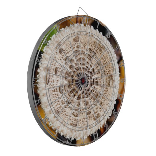 キノコ ダーツボード (正面左)