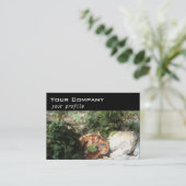 キノコ,ツタ,石 名刺 (スタンド正面)