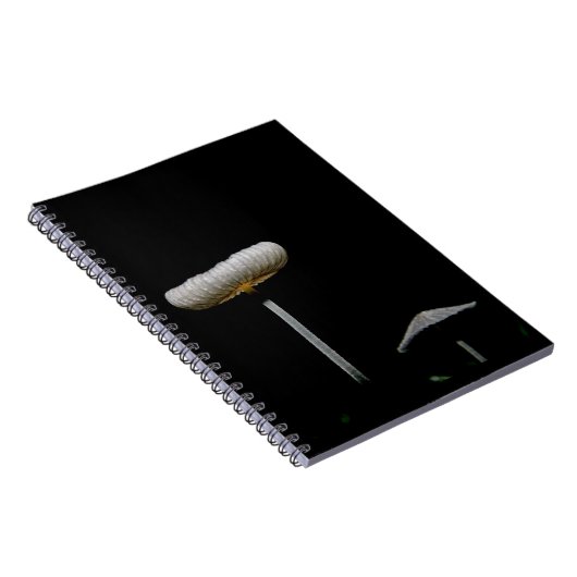 キノコ ノートブック (右側)