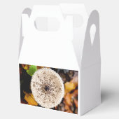 キノコ フェイバーボックス (オープン)