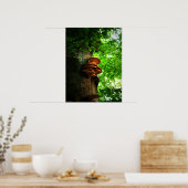 キノコ ポスター (キッチン)