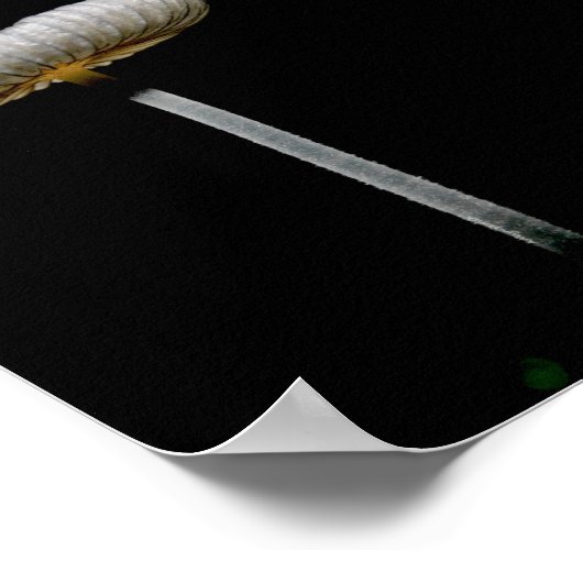 キノコ ポスター (角)