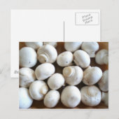 キノコ ポストカード (正面/裏面)