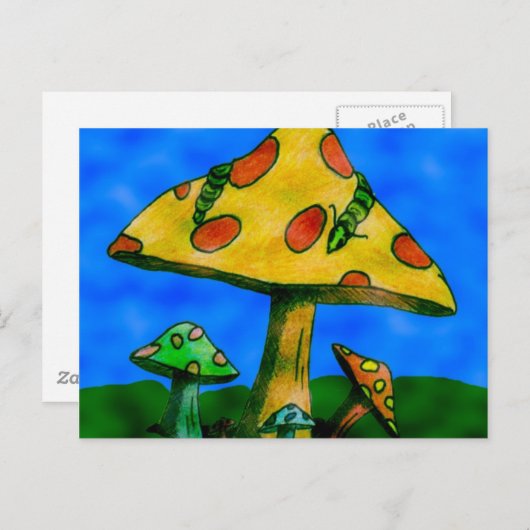 キノコ ポストカード (正面/裏面)