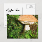 キノコ ポストカード (正面/裏面)