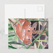 キノコ ポストカード (正面/裏面)