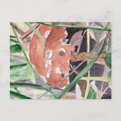 キノコ ポストカード (正面)