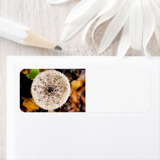 キノコ ラベル (インサイチュ)