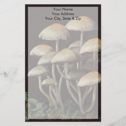 キノコ 便箋 (正面)