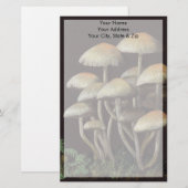 キノコ 便箋 (正面/裏面)