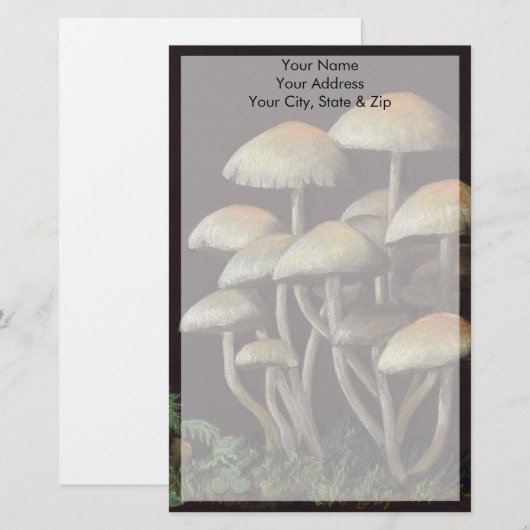 キノコ 便箋 (正面/裏面)