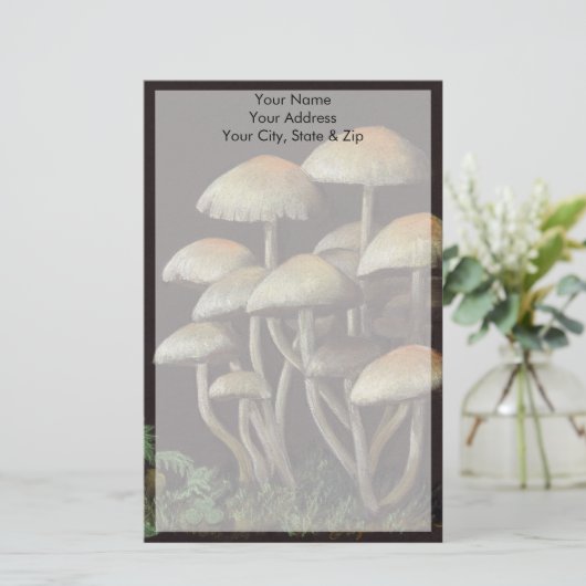 キノコ 便箋 (スタンド正面)