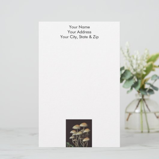 キノコ 便箋 (スタンド正面)