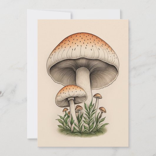 キノコ 招待状 (正面)