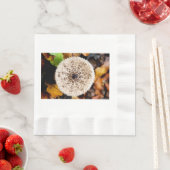 キノコ 縁ありランチョンナプキン (インサイチュ)