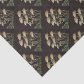 キノコ 薄葉紙 (詳細)