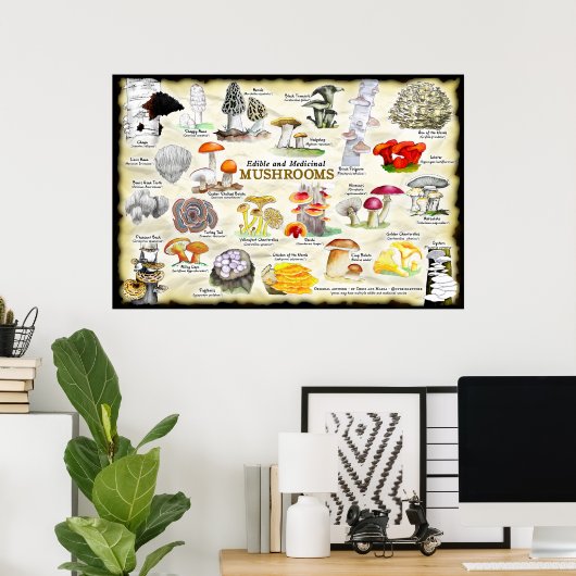 キノコ（食用および薬用） ポスター (ホームオフィス)