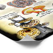 キノコ(食用および薬用) ポスター (角)