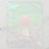 キノコ – 8.5インチx 11インチひな形シート (正面/裏面)