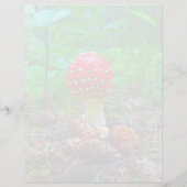 キノコ – 8.5インチx 11インチひな形シート (裏面)