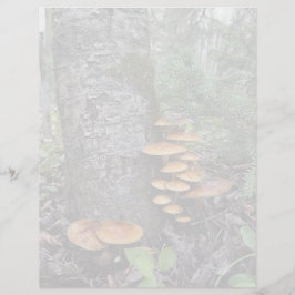 キノコ – 8.5インチx 11インチ文房具シート