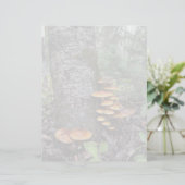 キノコ – 8.5インチx 11インチ文房具シート (スタンド正面)