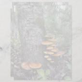 キノコ – 8.5インチx 11インチ文房具シート (正面/裏面)