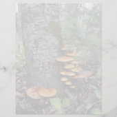 キノコ – 8.5インチx 11インチ文房具シート (裏面)