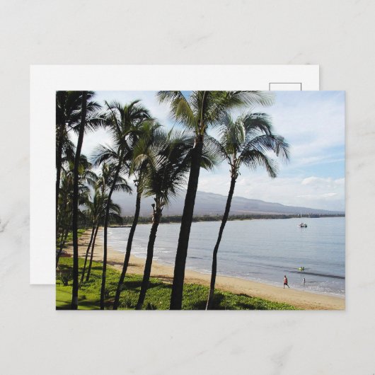キハイマウイハワイビーチパームズ シーズンポストカード (正面/裏面)
