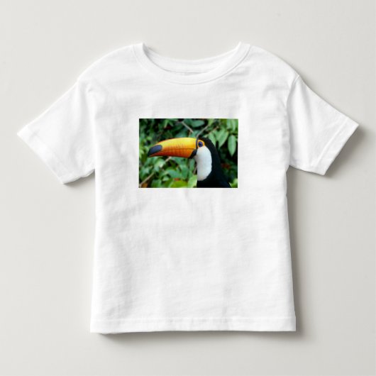 キバシオオハシ トドラーTシャツ (正面)