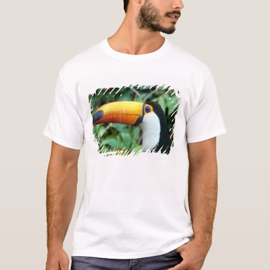 キバシオオハシ Tシャツ (正面)