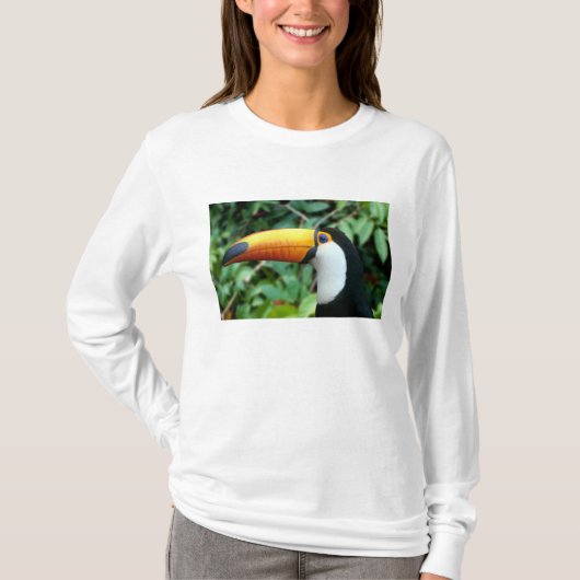 キバシロオオハシ Tシャツ (正面)