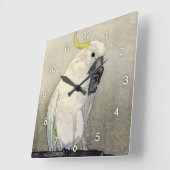 キバタンの・のオウム、硫黄頂点に達されたオウム、吉田 スクエア壁時計 (傾斜)