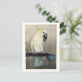 キバタン・オウムイオウ昆布、ヨシダ ポストカード (スタンド正面)