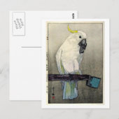 キバタン・オウムイオウ昆布、ヨシダ ポストカード (正面/裏面)