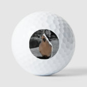 キバタン ゴルフボール (正面)