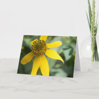 キバナノコウゾリナ (Rudbeckia laciniata) カード