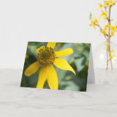 キバナノコウゾリナ (Rudbeckia laciniata) カード (黄色い花)