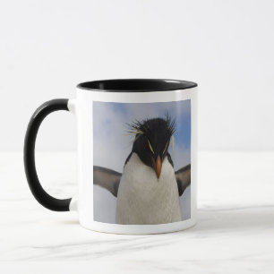 キバナペンギン Eudyptes chrysocome マグカップ