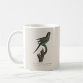 キバラオインコ Brotogeris jugularis コーヒーマグカップ (左)