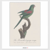 キバラオインコ Brotogeris jugularis シール (シート)