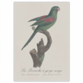 キバラオインコ Brotogeris jugularis シール (正面)