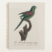 キバラオインコ Brotogeris jugularis プランナー手帳 (正面)