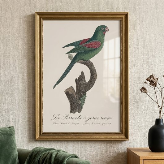 キバラメキシコインコ Brotogeris jugularis フォトプリント