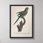 キバラメキシコインコ Brotogeris jugularis フォトプリント