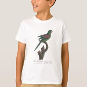 キバラメキシコインコ Brotogeris jugularis Tシャツ (正面)