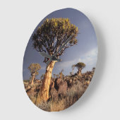 キバーツリーズ（アロエ·ディコトマ） ラージ壁時計 (傾斜)